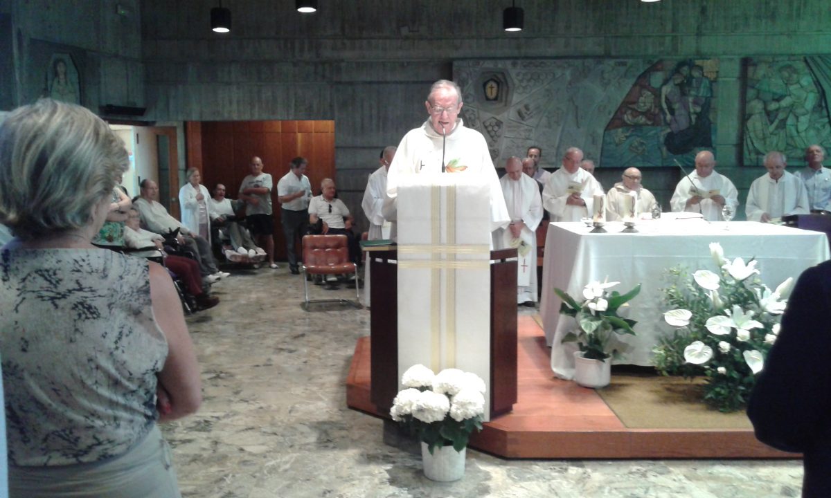 P. Jesús Arteaga: Cincuenta años de sacerdote camilo